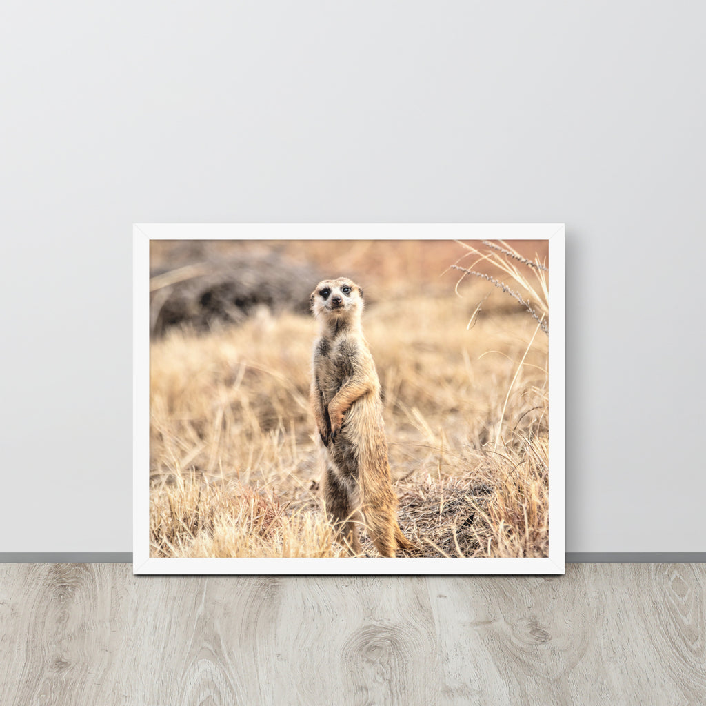 -- High Quality -- Framed on photo paper