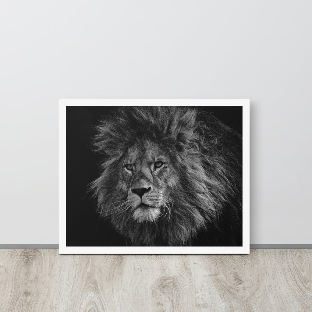 Lion -- High Quality -- Framed on photo paper