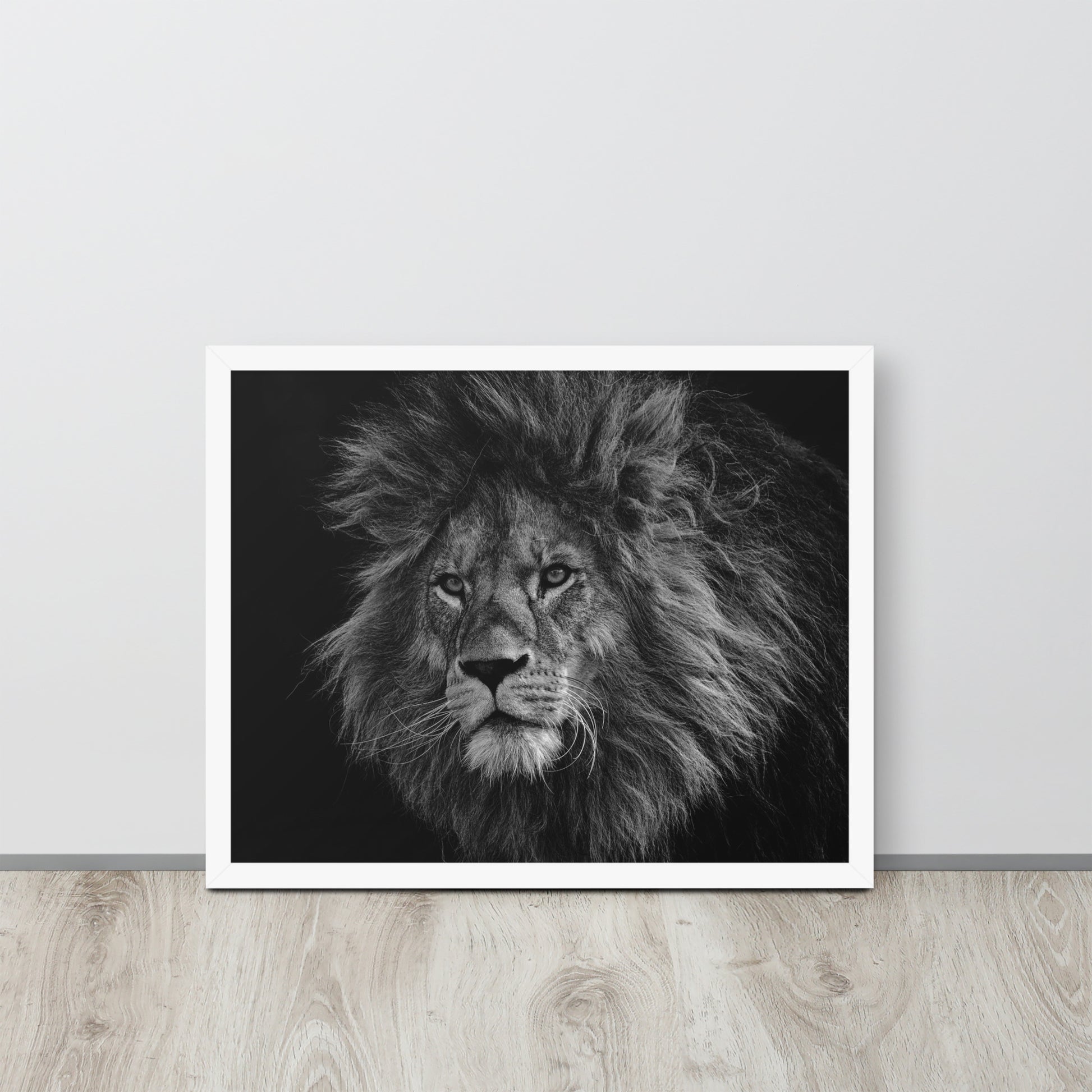 Lion -- High Quality -- Framed on photo paper