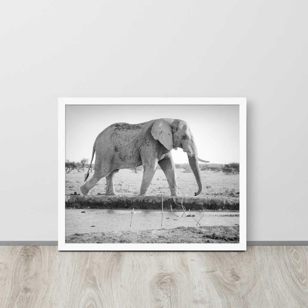 Elephant -- High Quality -- Framed photo paper