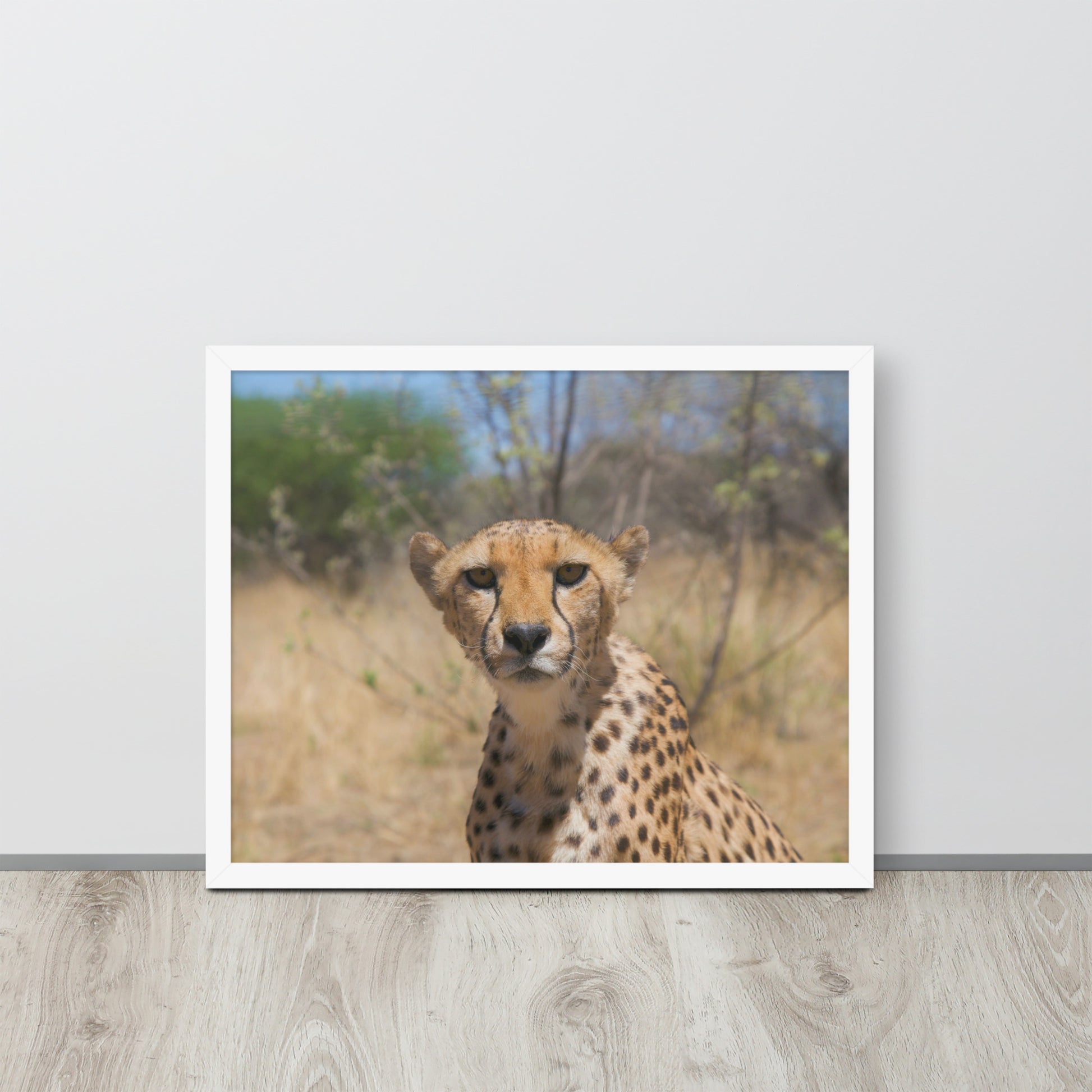 Leopard -- High Quality -- Framed on photo paper