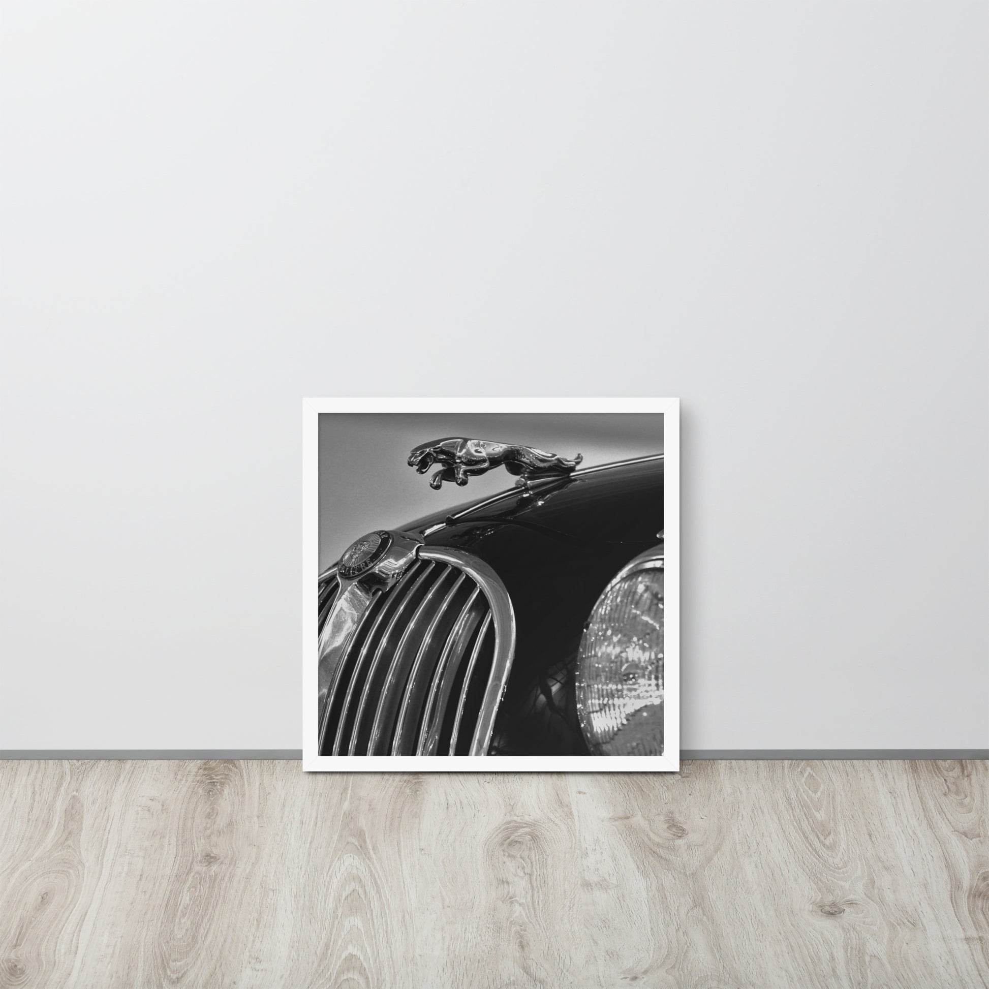 Car Collection Jaguar -- High Quality-- Framed on photo paper