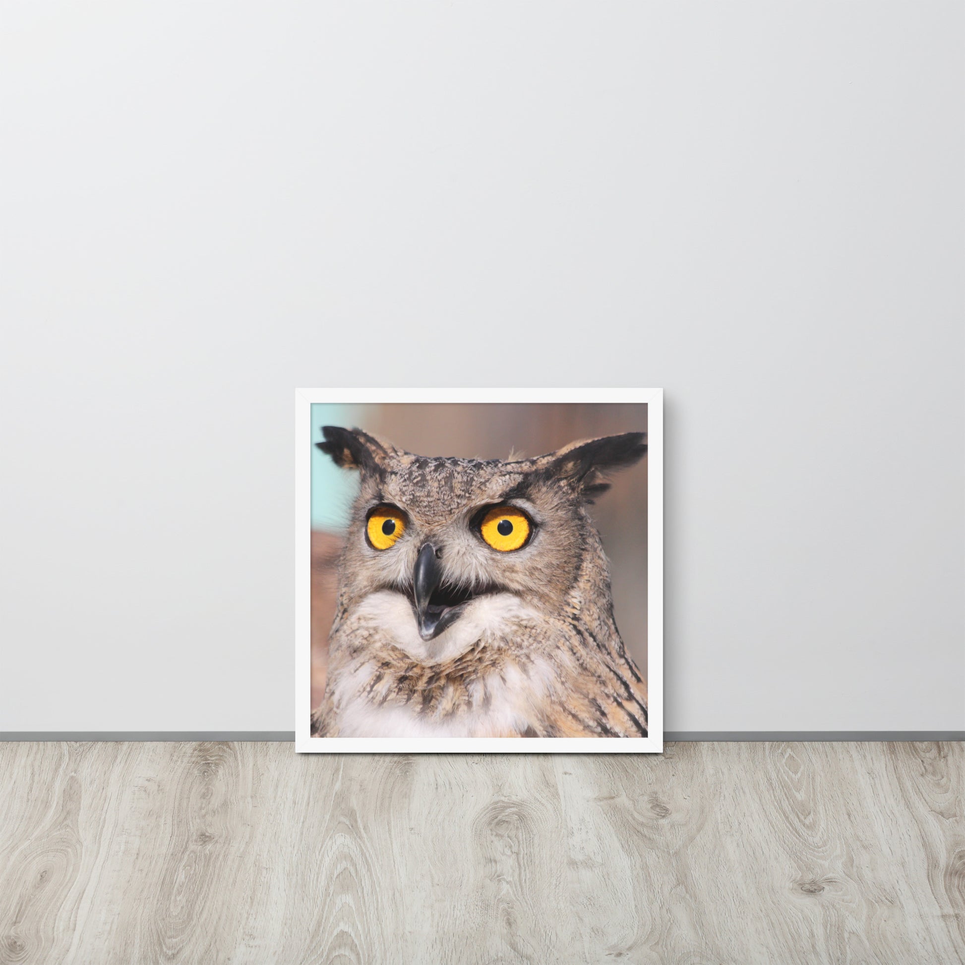 Owl -- High Quallity -- Framed on photo paper