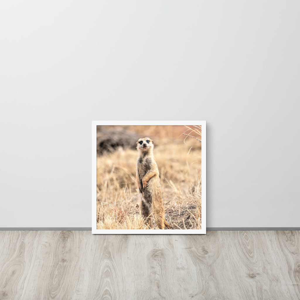 -- High Quality -- Framed on photo paper