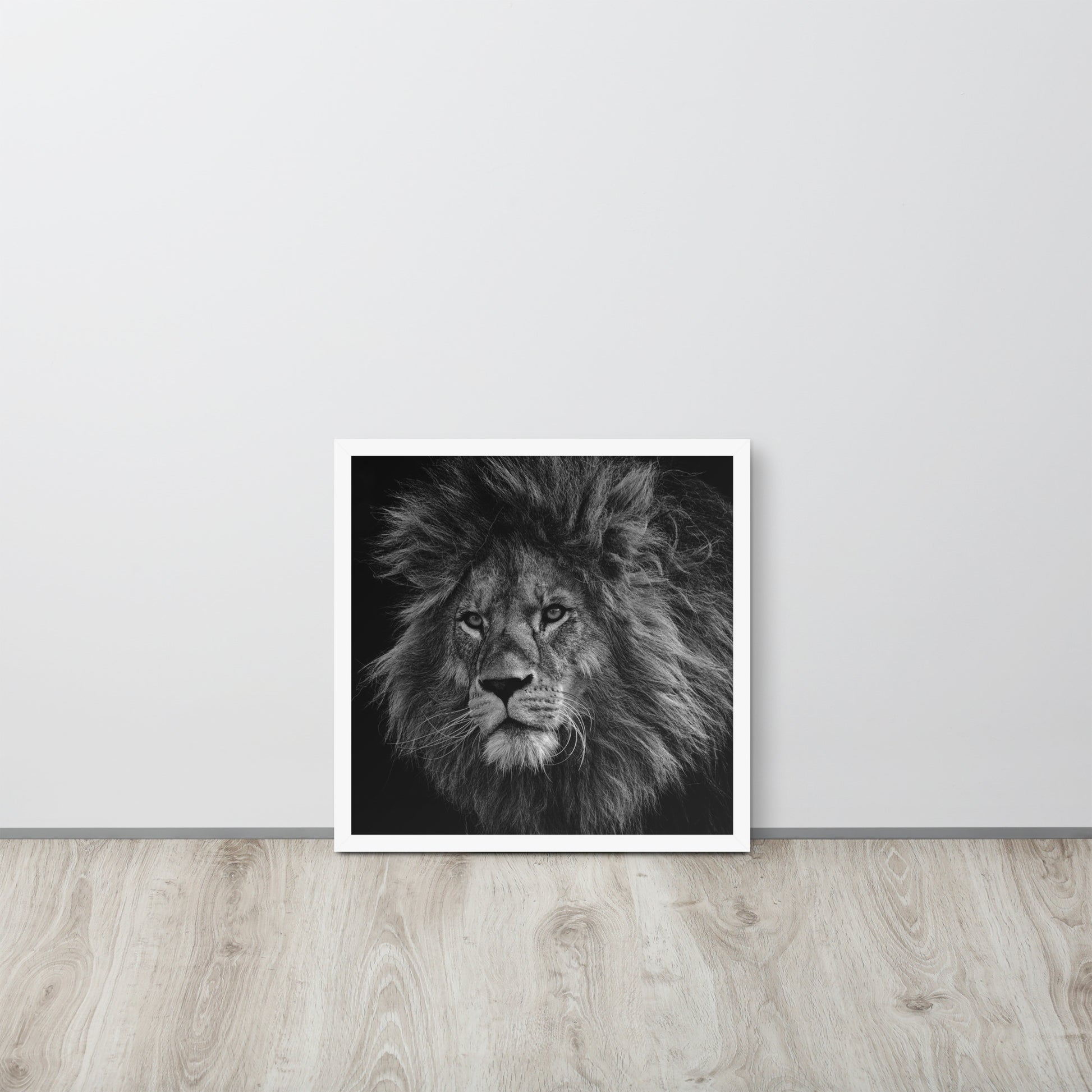 Lion -- High Quality -- Framed on photo paper