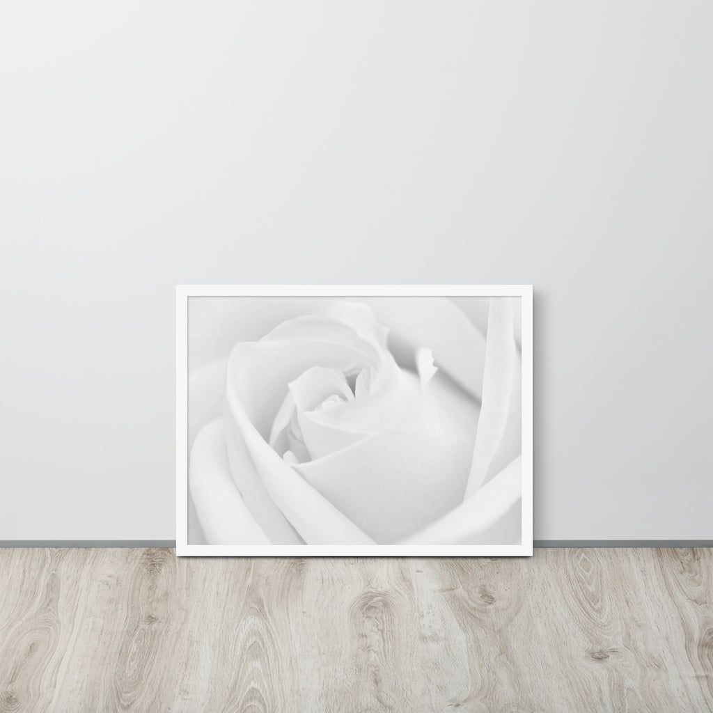 The Rose -- High Quality -- Framed on photo paper