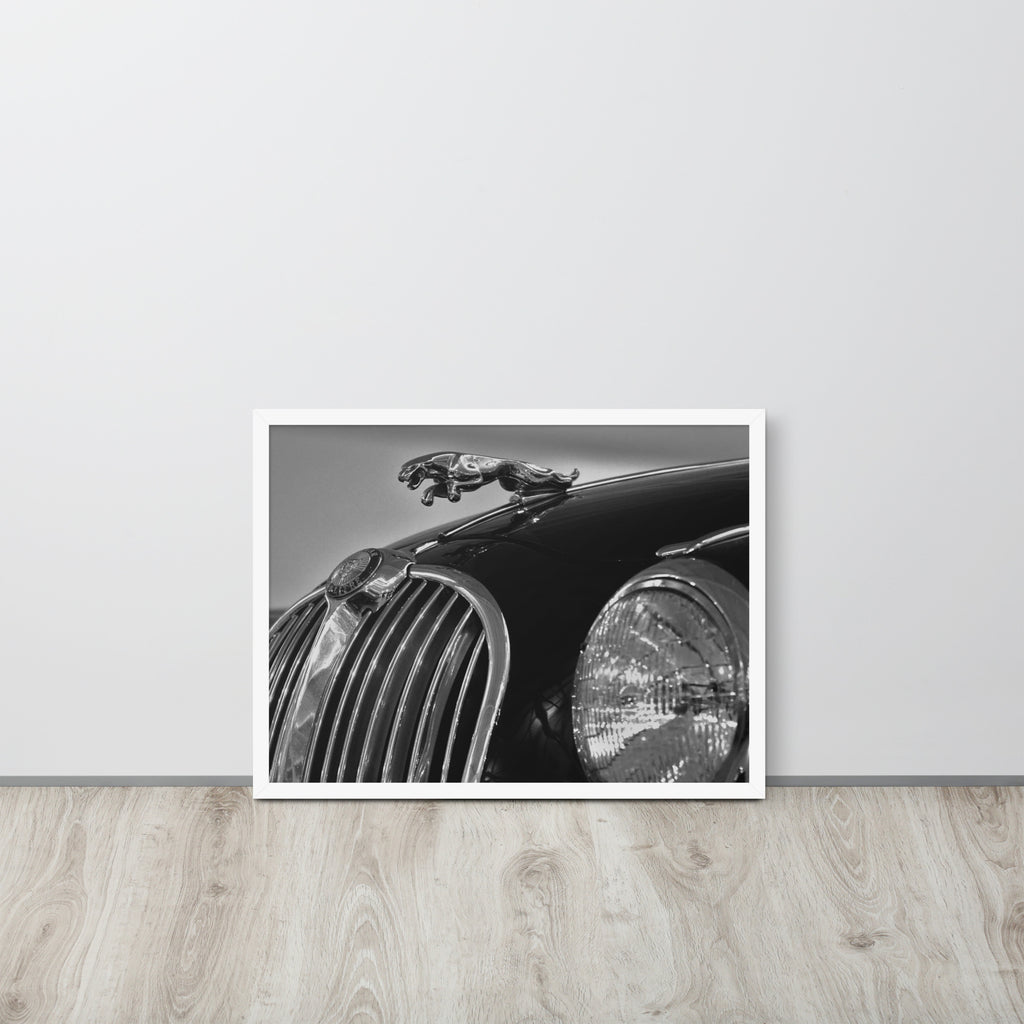 Car Collection Jaguar -- High Quality-- Framed on photo paper
