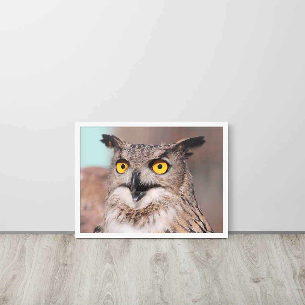 Owl -- High Quallity -- Framed on photo paper