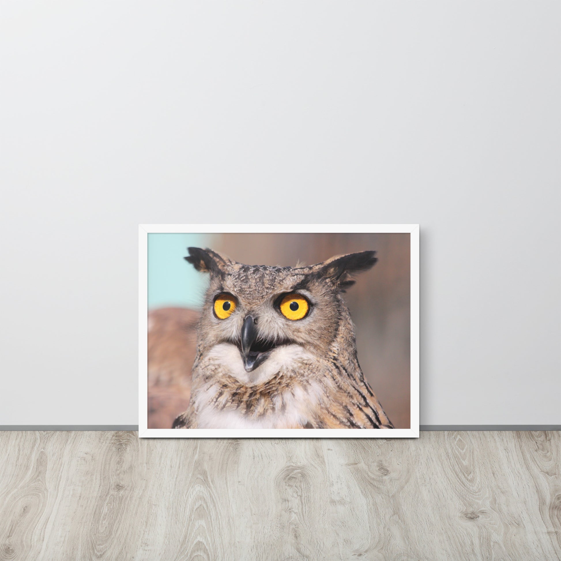 Owl -- High Quallity -- Framed on photo paper