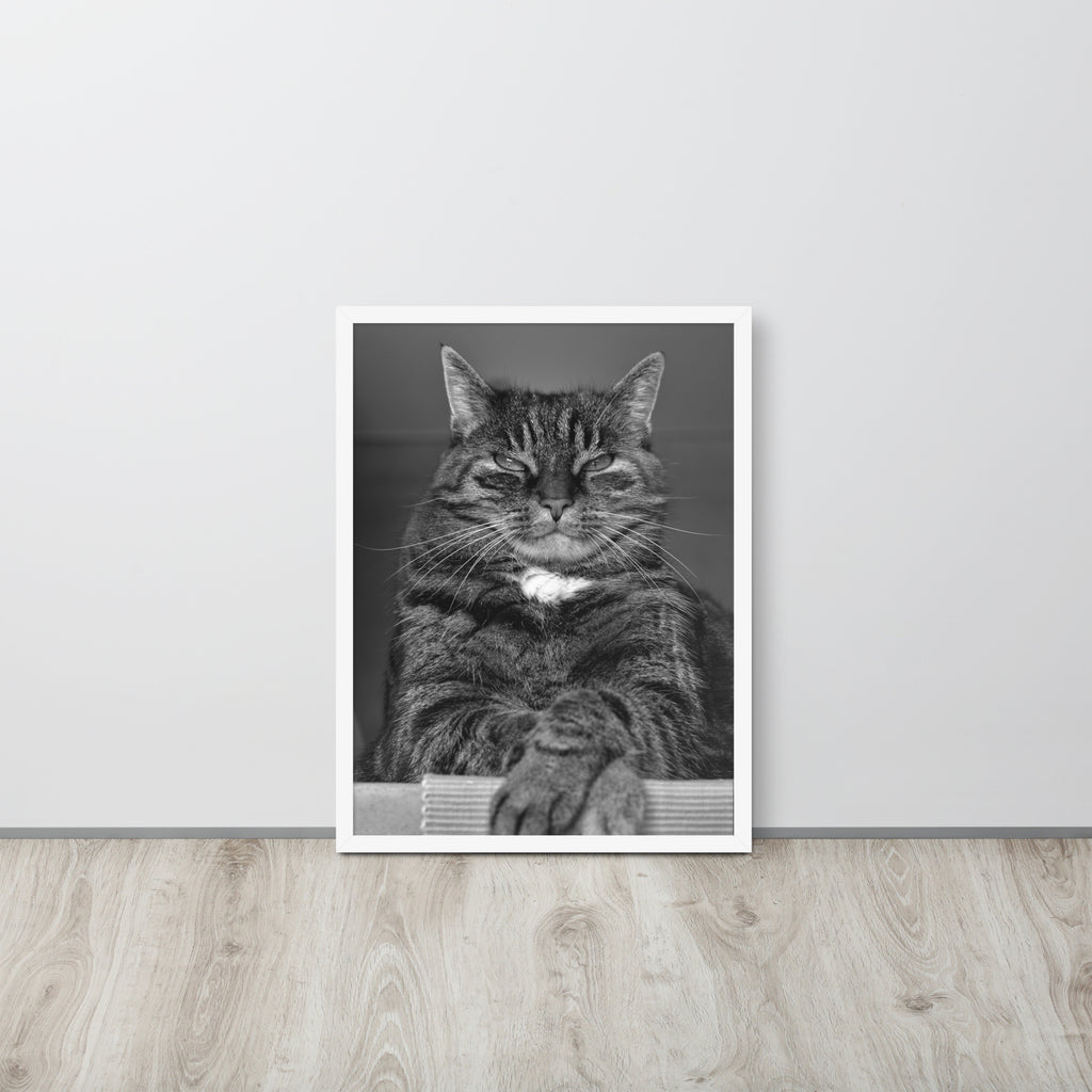The Cat -- High Quality -- Framed on photo paper