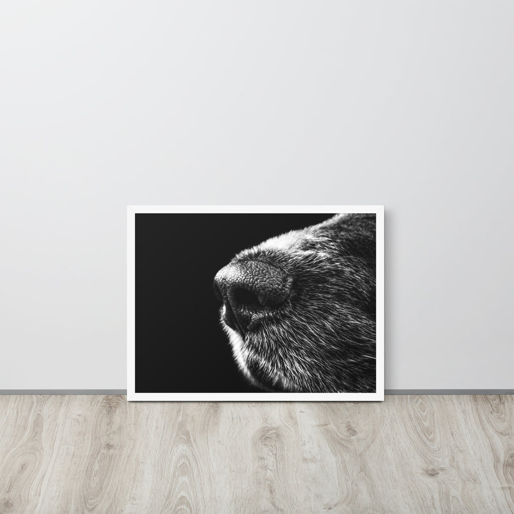 The Nose -- High Quality -- Framed on photo paper