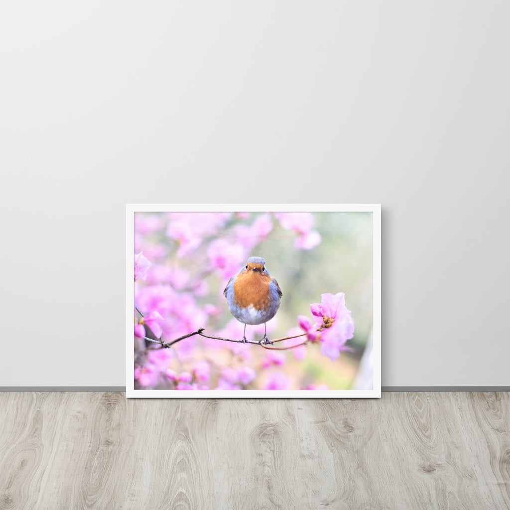 Birdie -- High Quality -- Framed on photo paper