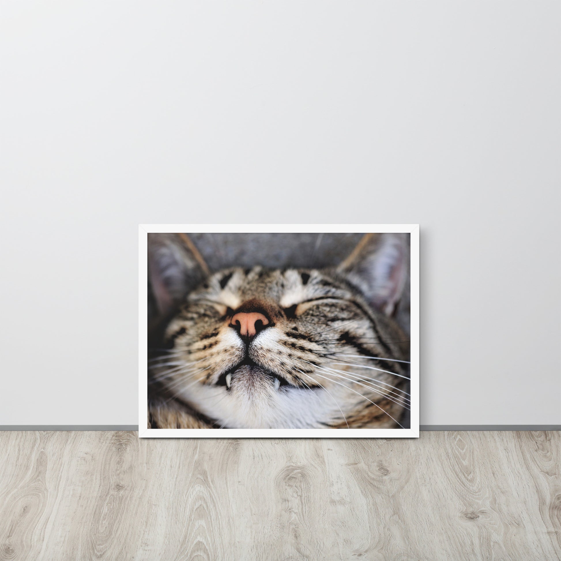 Sleeping Cat -- High Quality -- Framed on photo paper