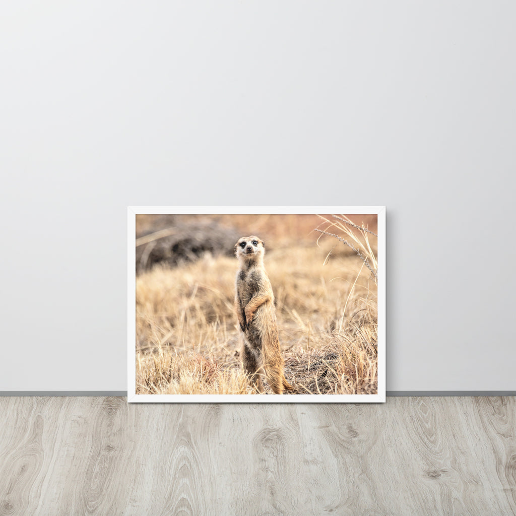 -- High Quality -- Framed on photo paper
