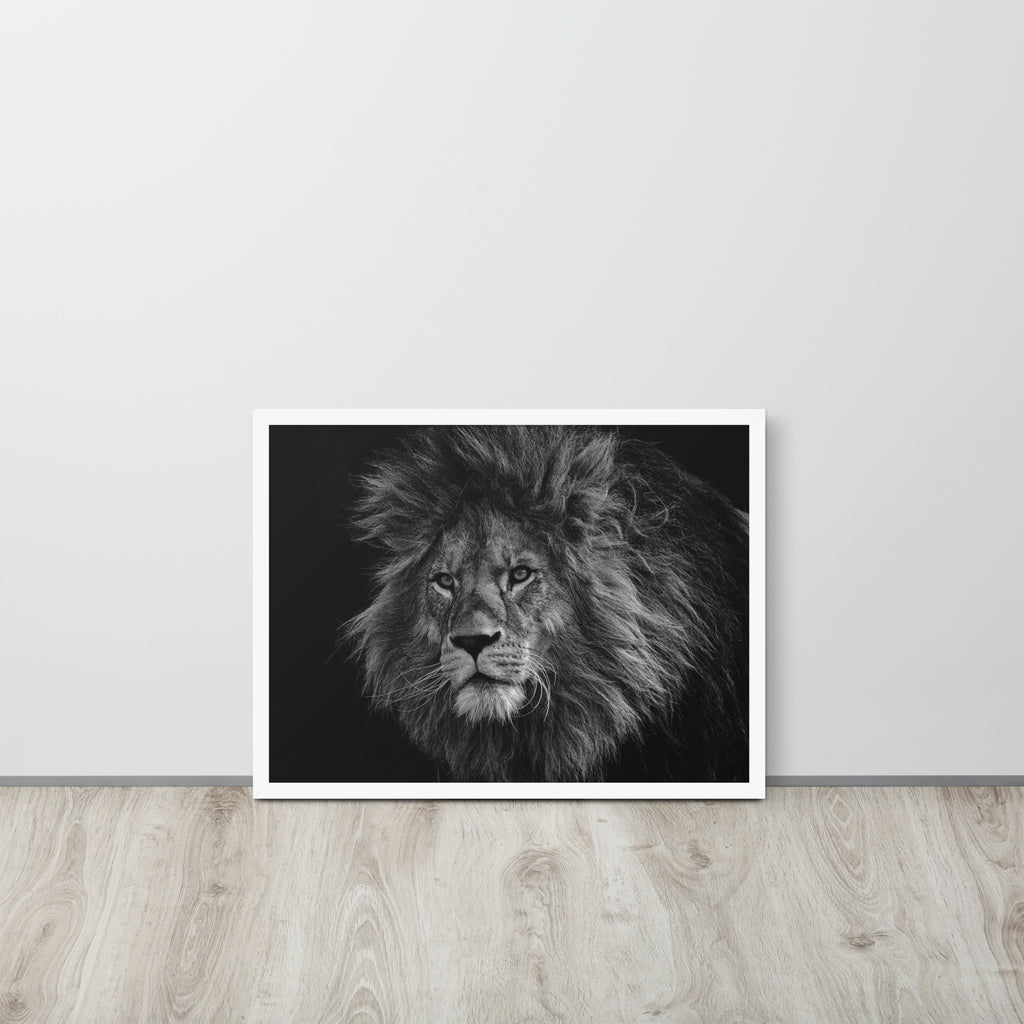 Lion -- High Quality -- Framed on photo paper