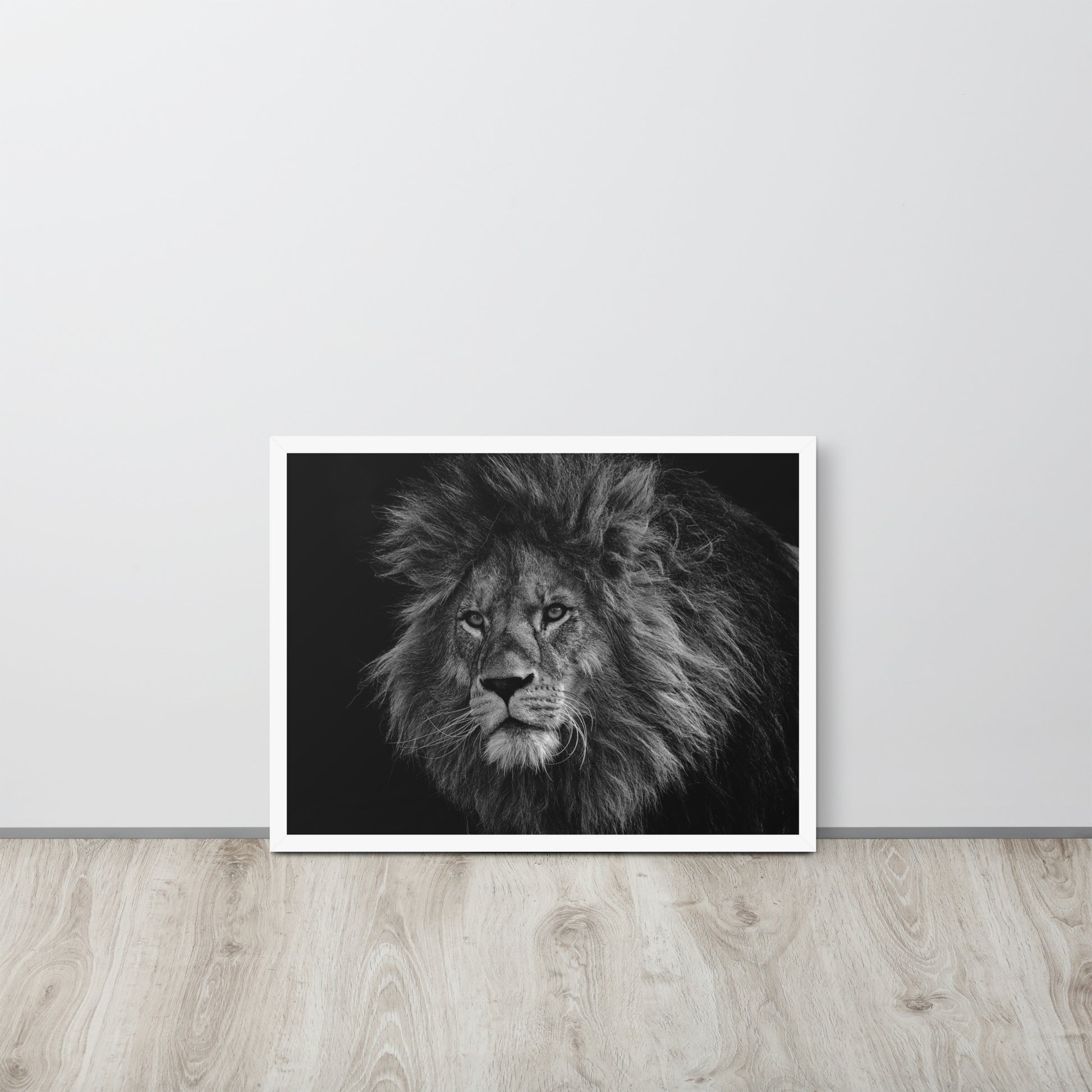 Lion -- High Quality -- Framed on photo paper