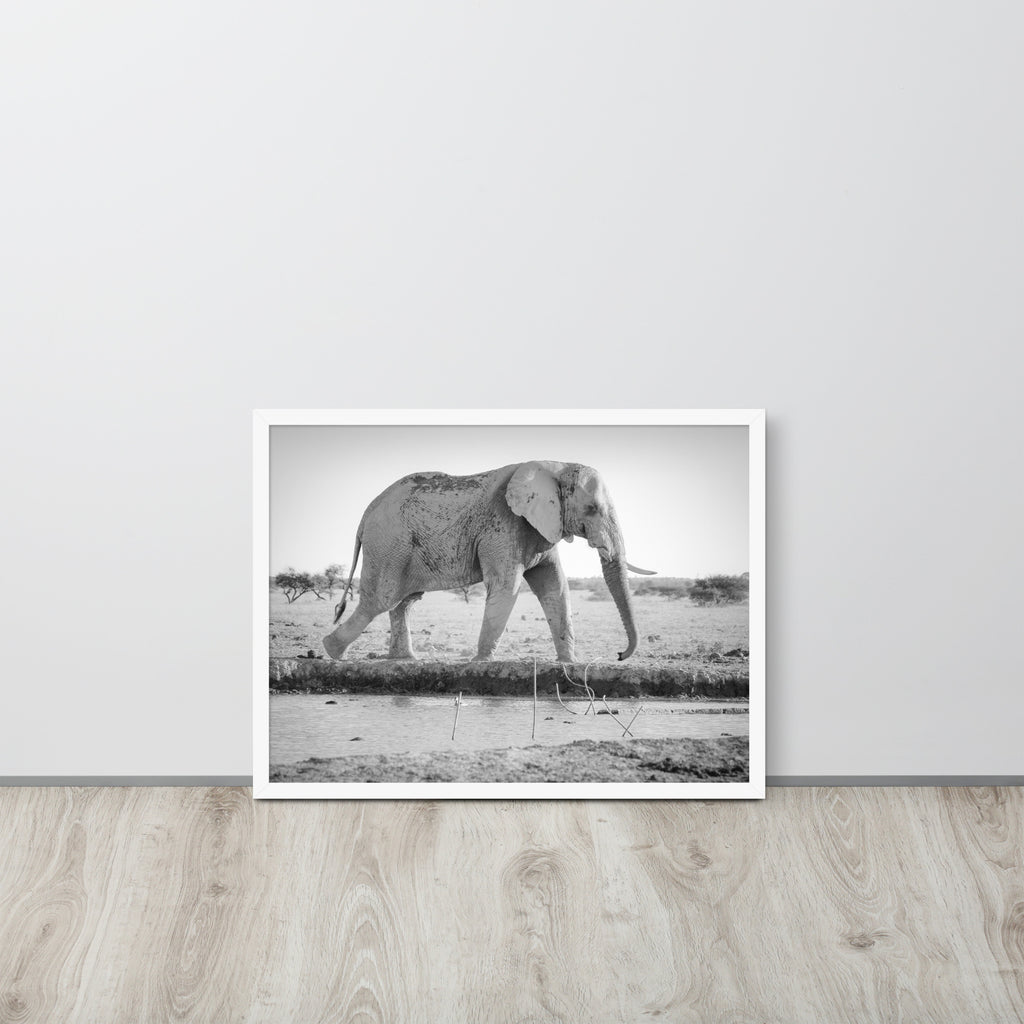 Elephant -- High Quality -- Framed photo paper