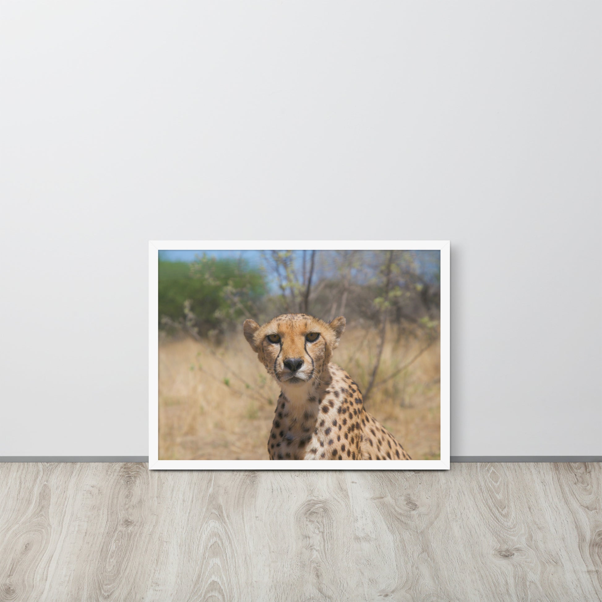 Leopard -- High Quality -- Framed on photo paper