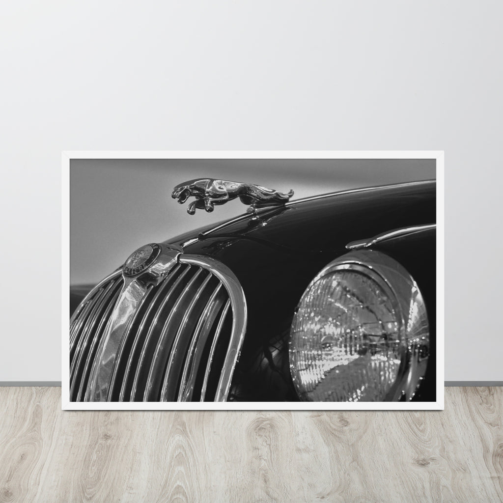 Car Collection Jaguar -- High Quality-- Framed on photo paper