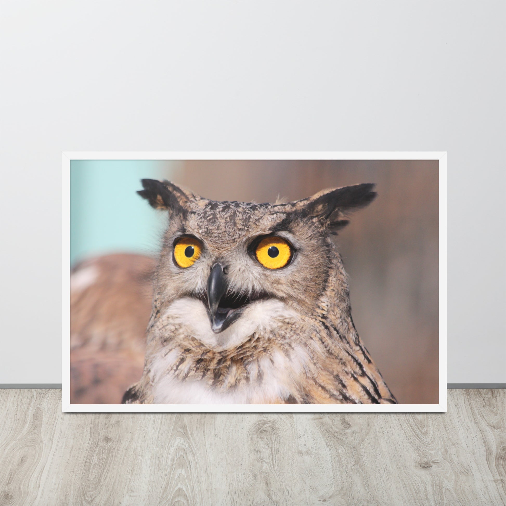 Owl -- High Quallity -- Framed on photo paper