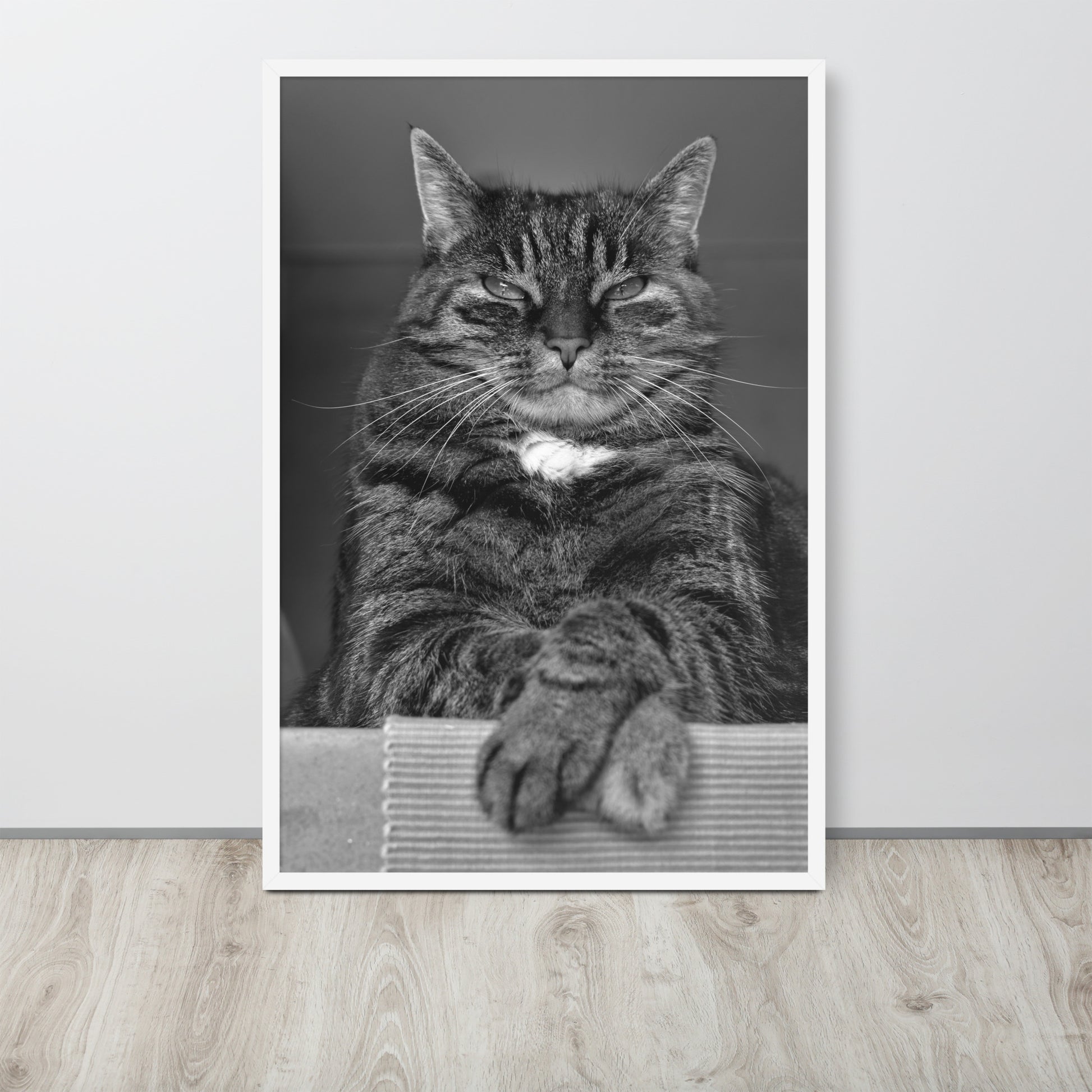 The Cat -- High Quality -- Framed on photo paper