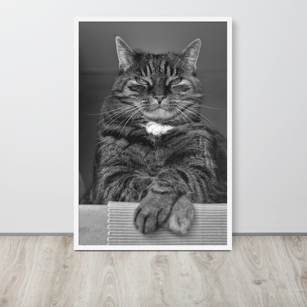 The Cat -- High Quality -- Framed on photo paper