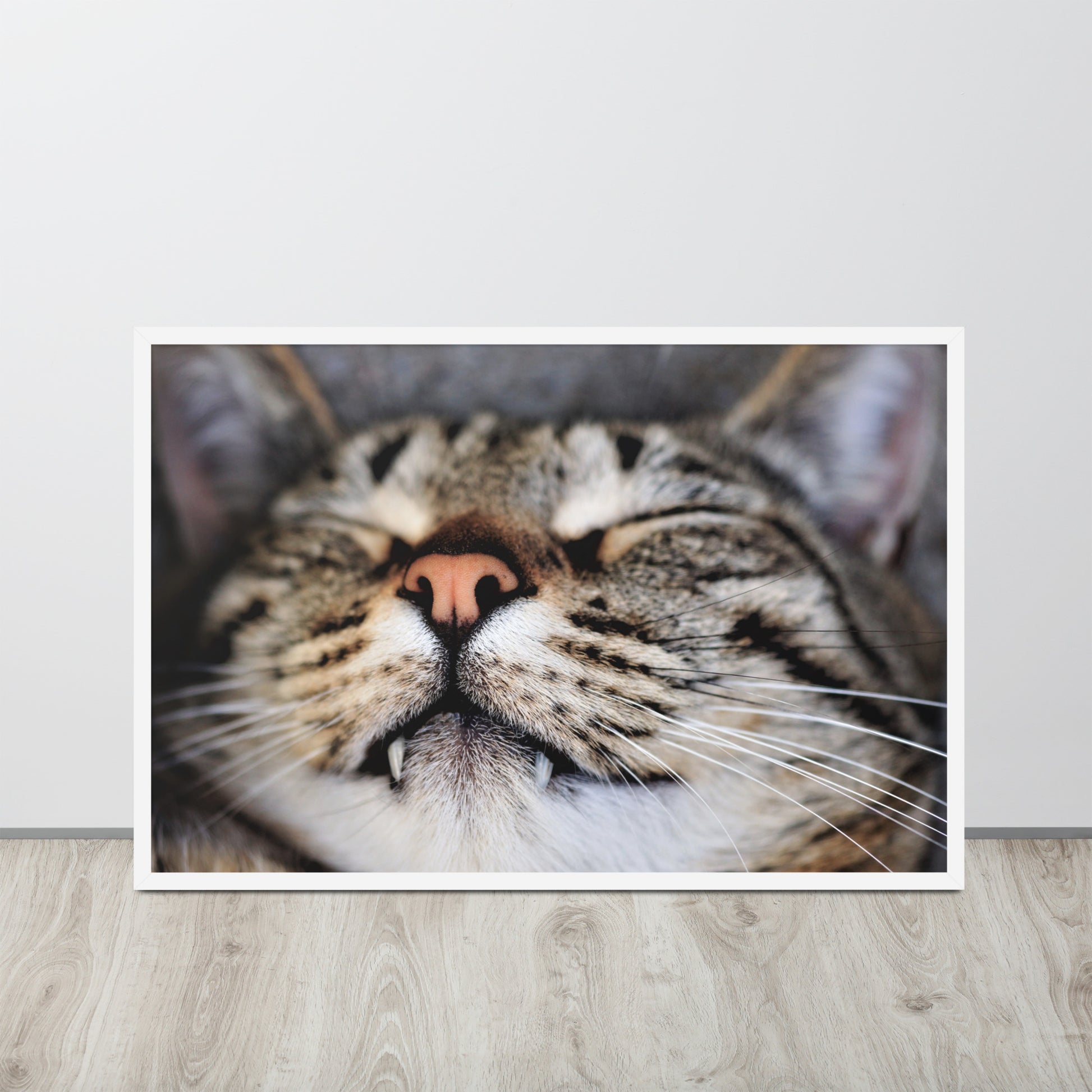 Sleeping Cat -- High Quality -- Framed on photo paper