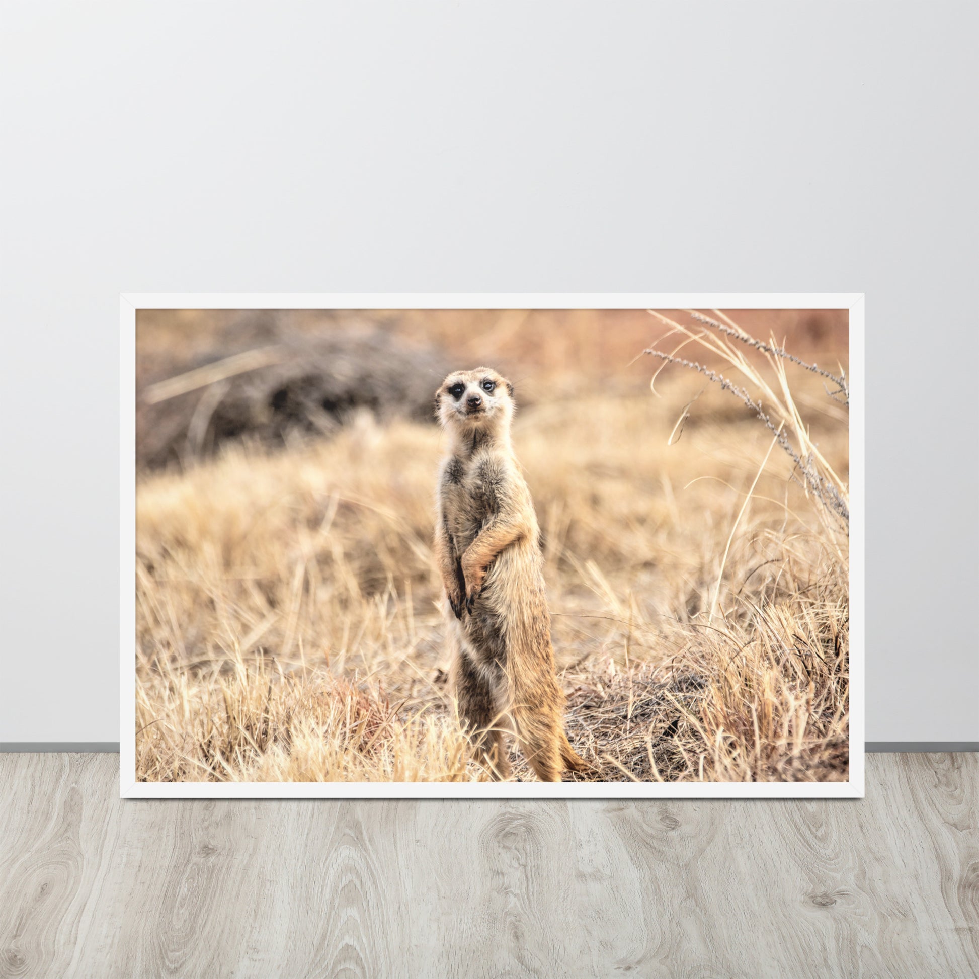 -- High Quality -- Framed on photo paper