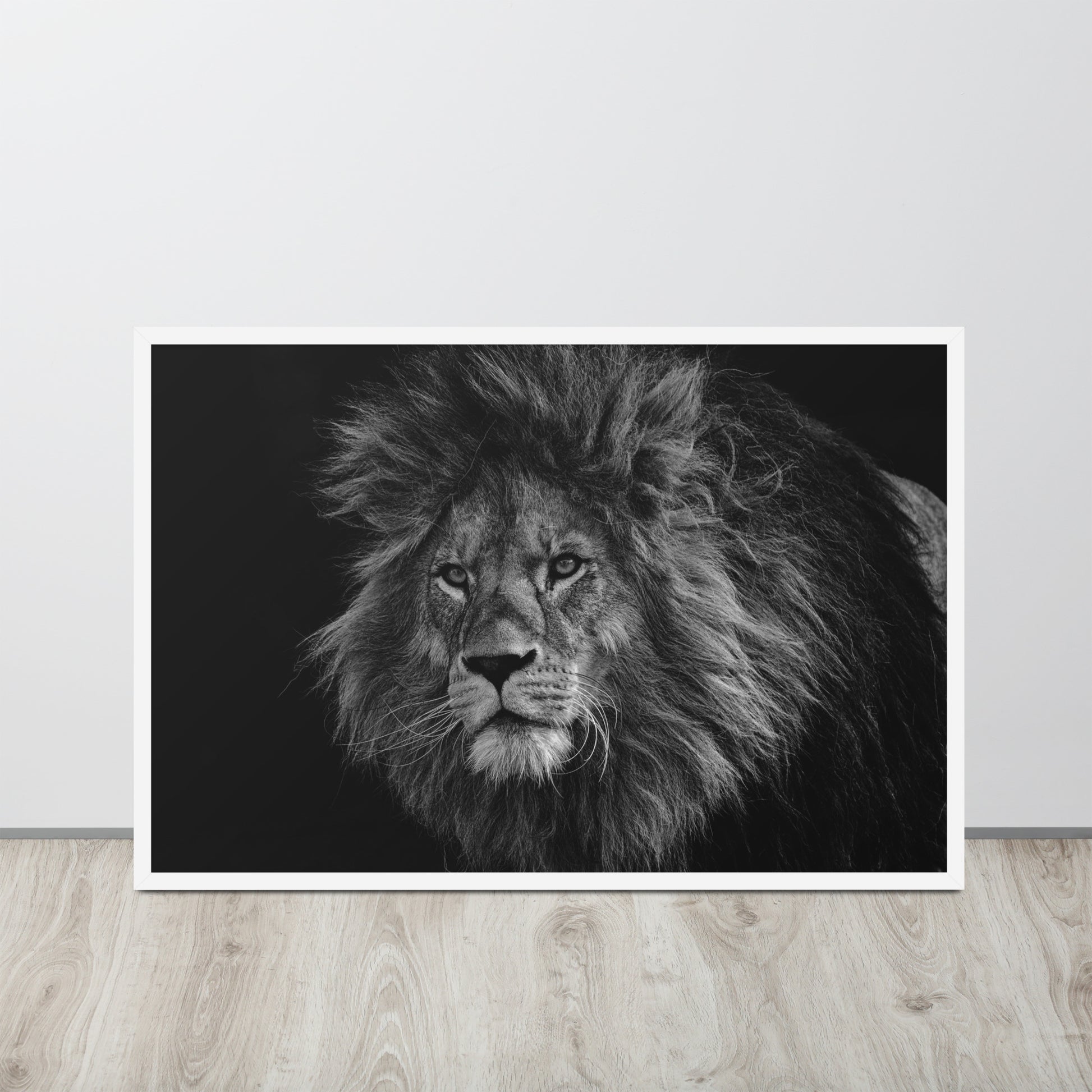 Lion -- High Quality -- Framed on photo paper
