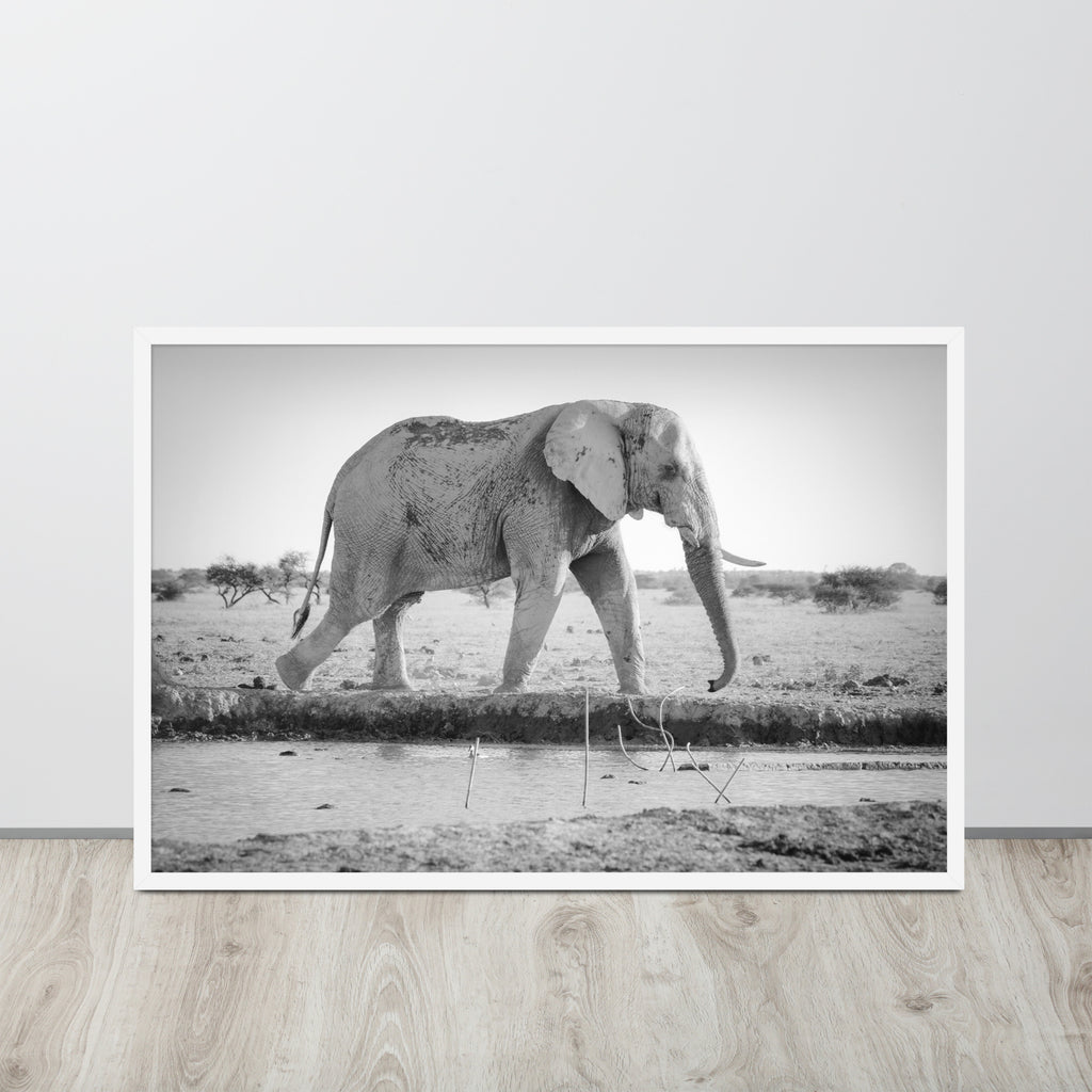Elephant -- High Quality -- Framed photo paper