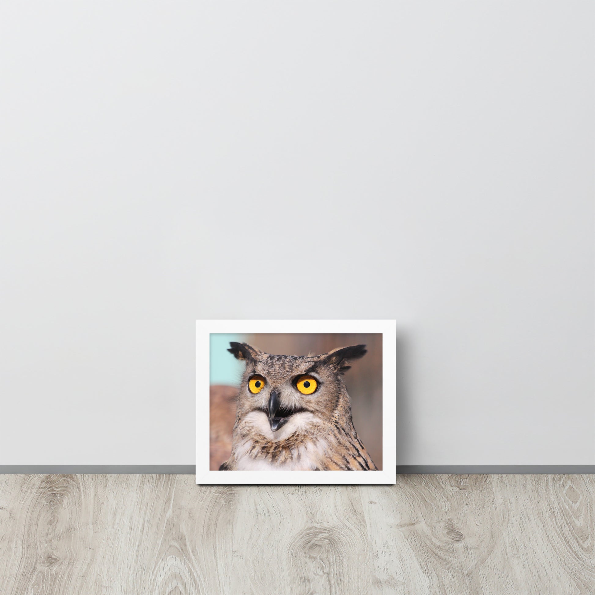 Owl -- High Quallity -- Framed on photo paper