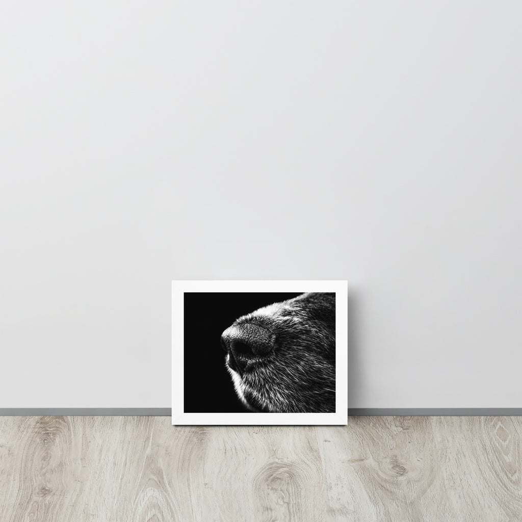 The Nose -- High Quality -- Framed on photo paper