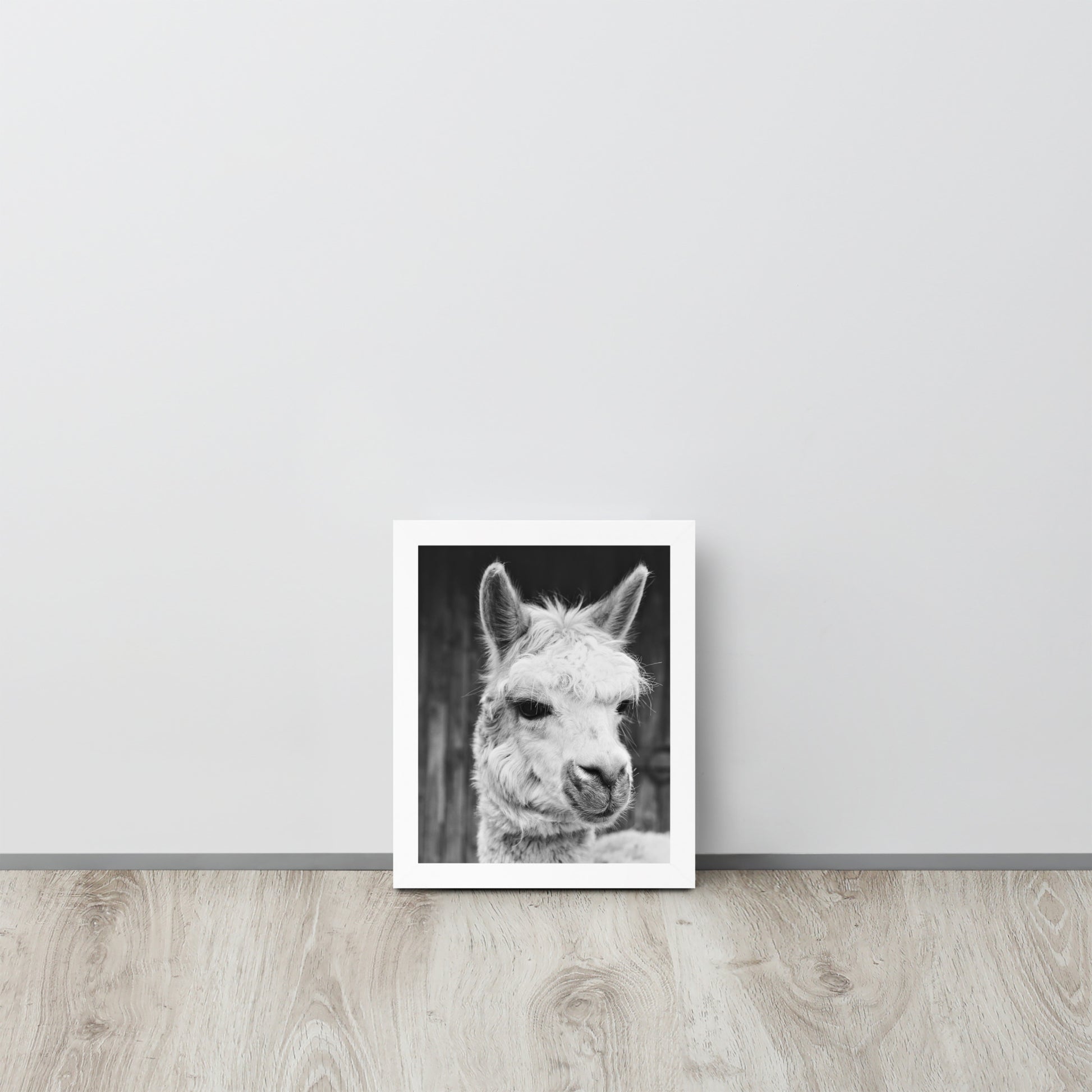 Alpaca -- High Quality -- Framed on photo paper