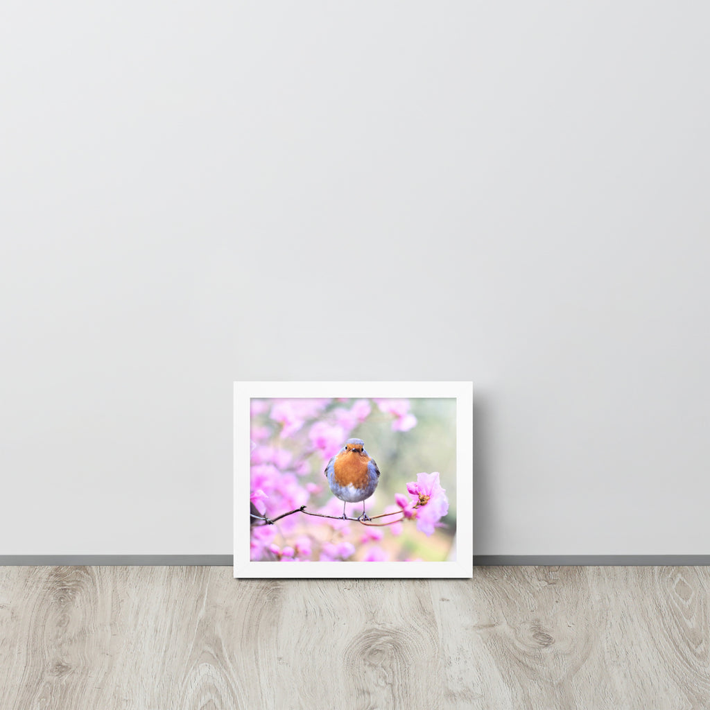 Birdie -- High Quality -- Framed on photo paper