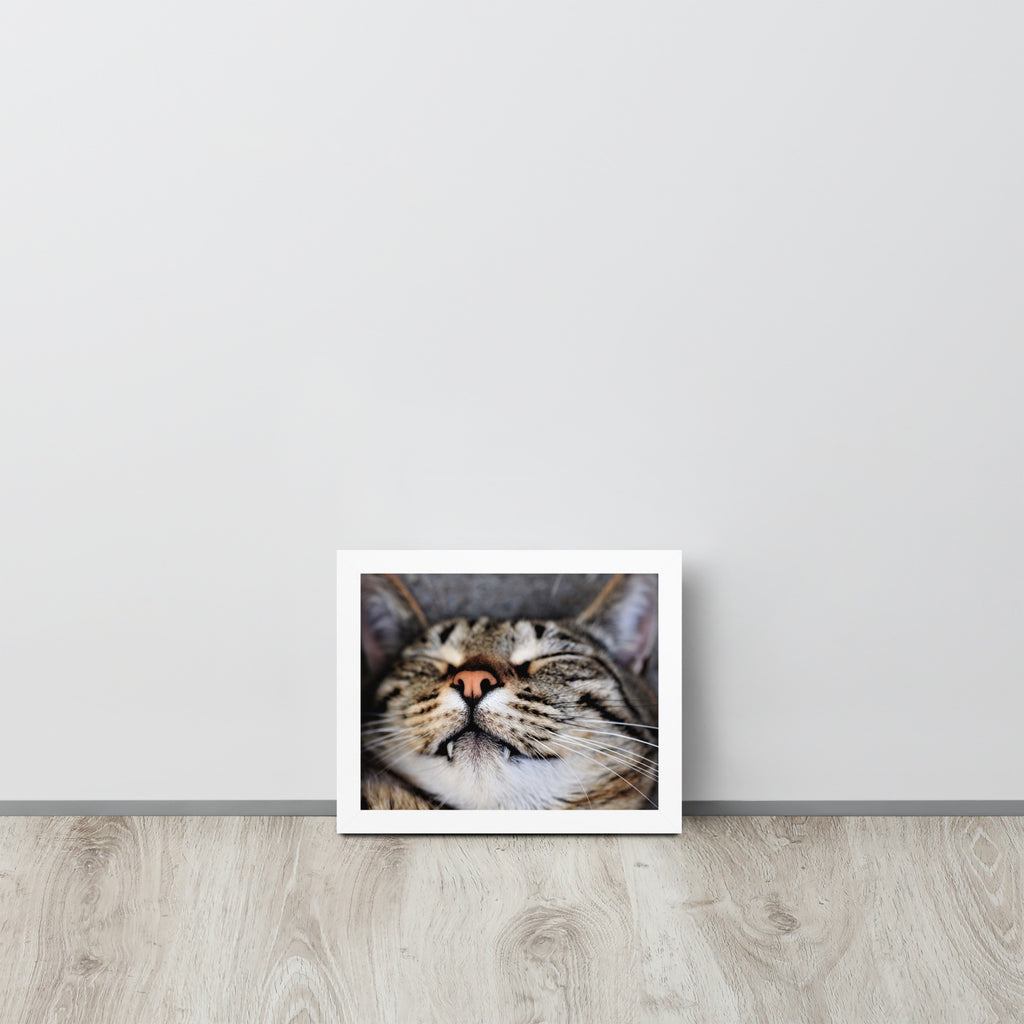 Sleeping Cat -- High Quality -- Framed on photo paper