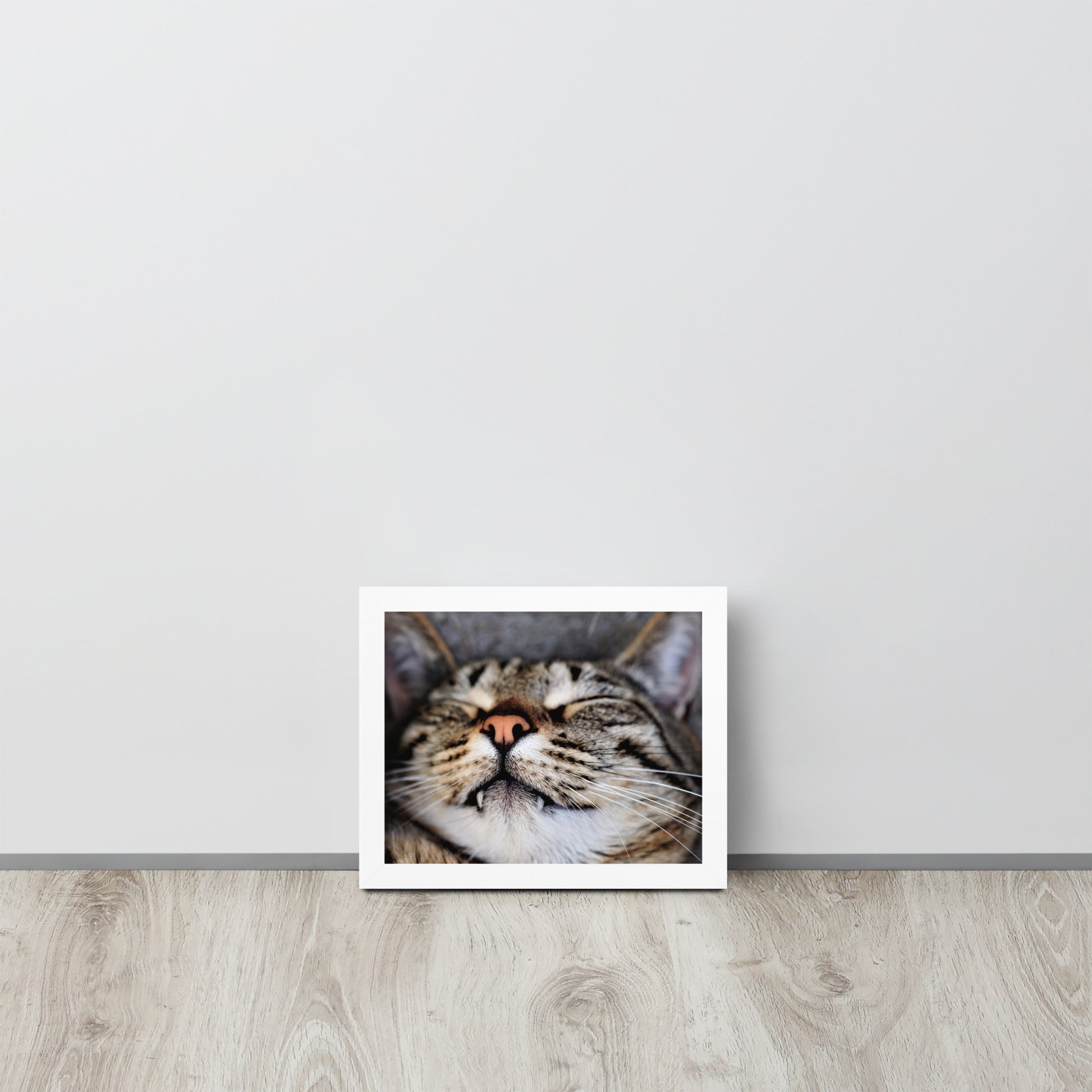 Sleeping Cat -- High Quality -- Framed on photo paper