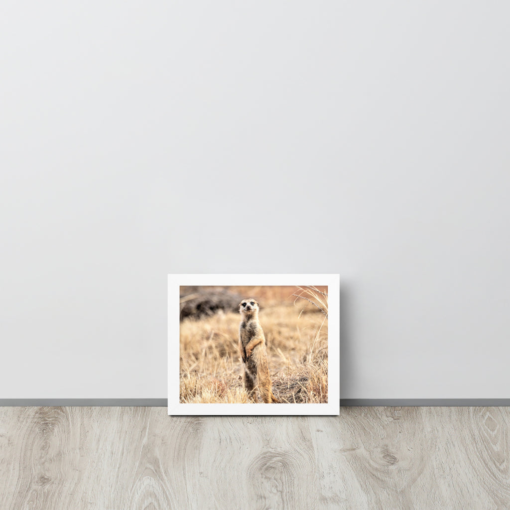 -- High Quality -- Framed on photo paper