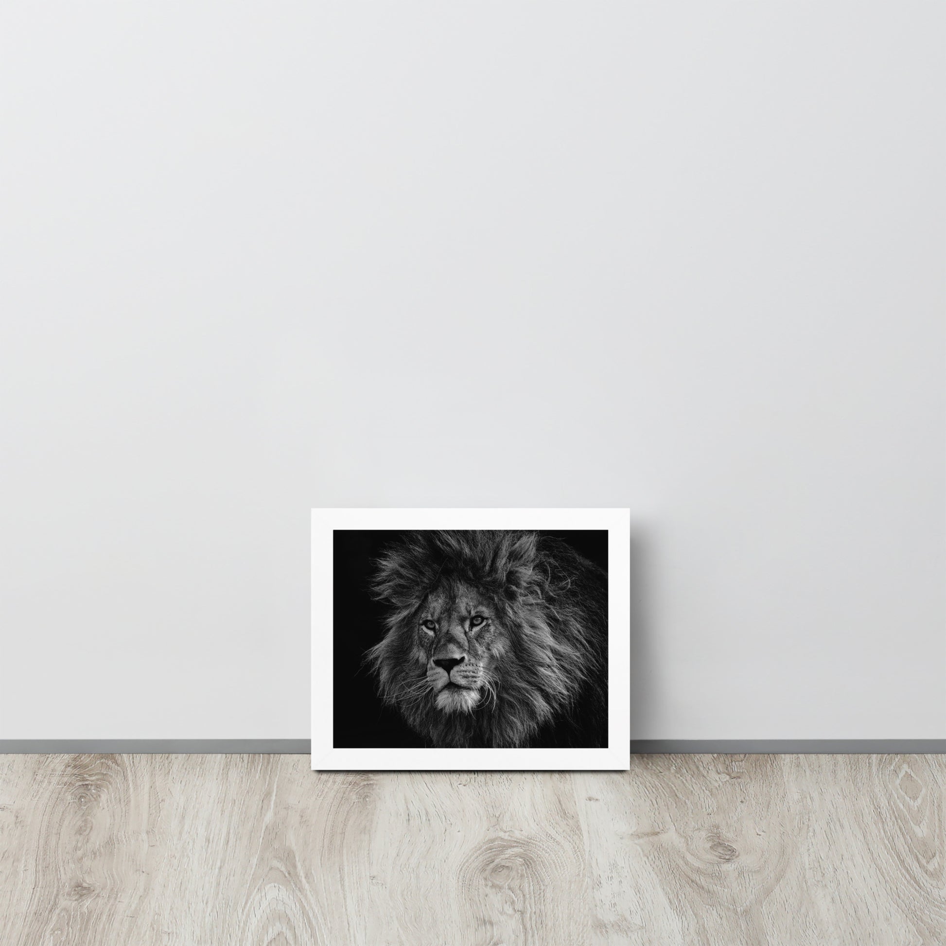 Lion -- High Quality -- Framed on photo paper