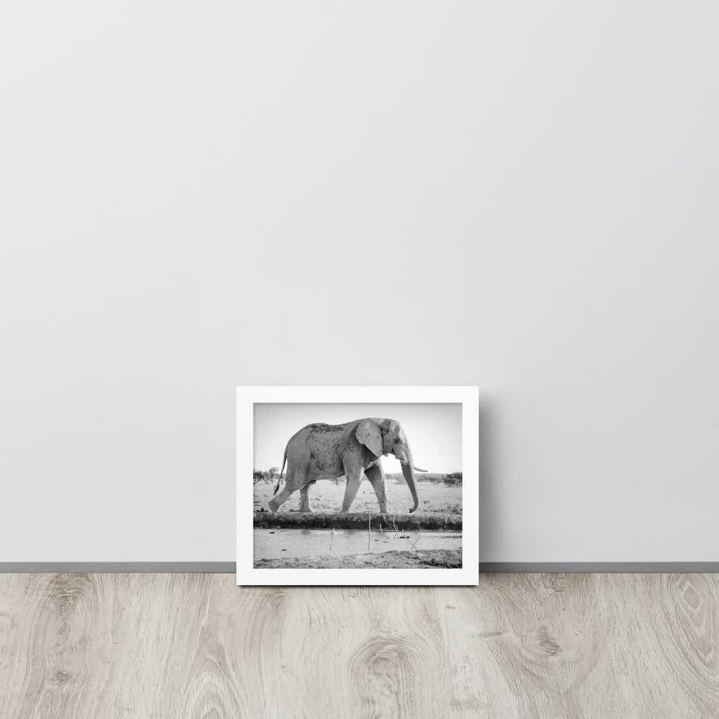 Elephant -- High Quality -- Framed photo paper