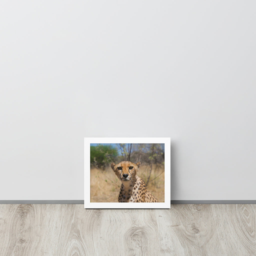 Leopard -- High Quality -- Framed on photo paper