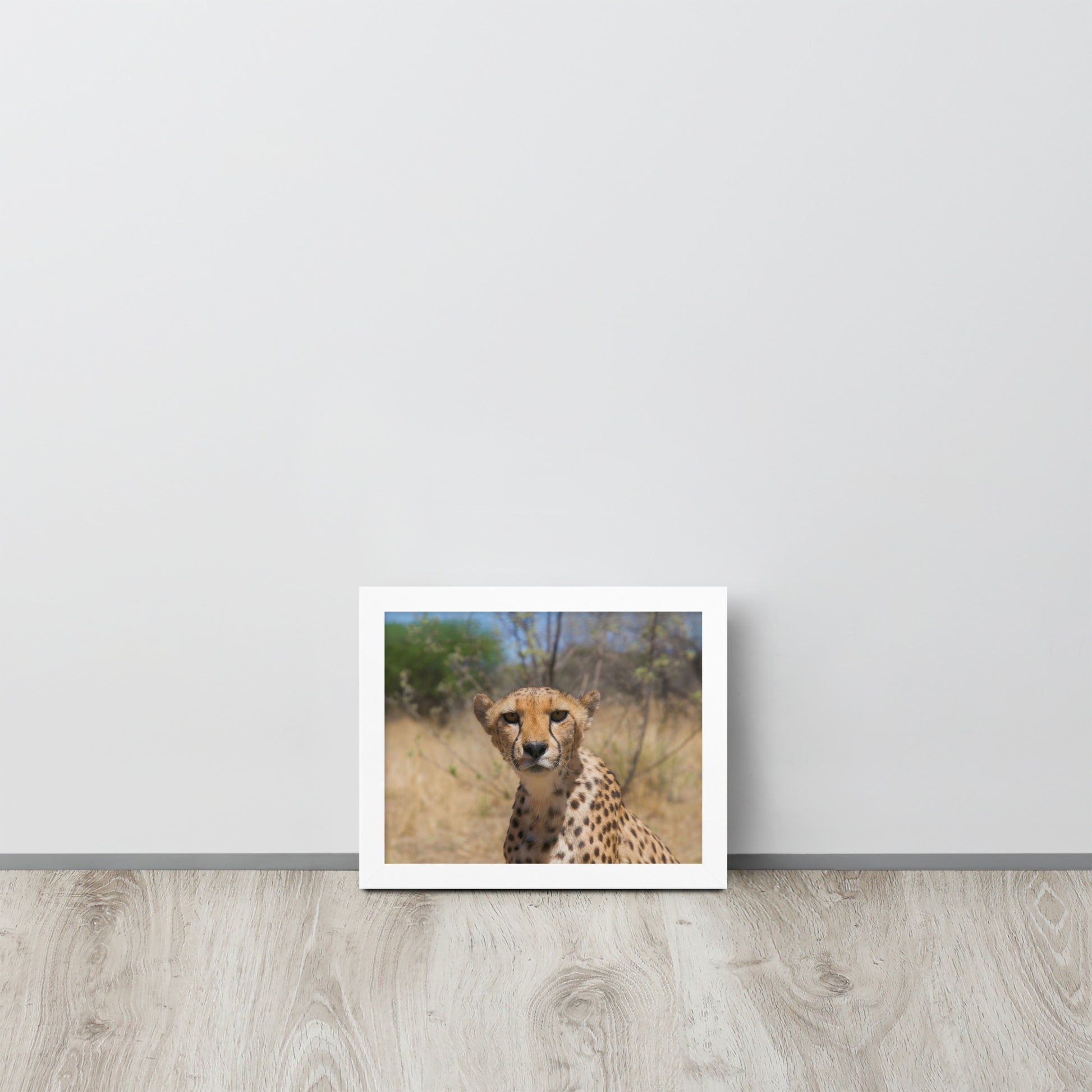 Leopard -- High Quality -- Framed on photo paper