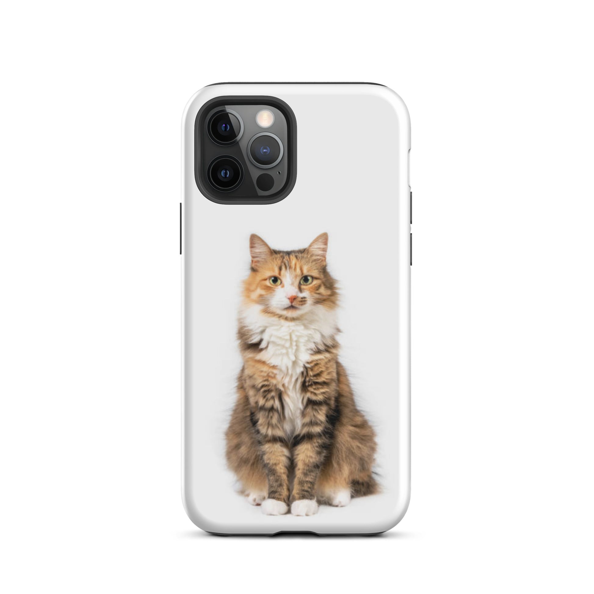 Luxury Tough iPhone Case ''The Cat 1'' -- High Quality --