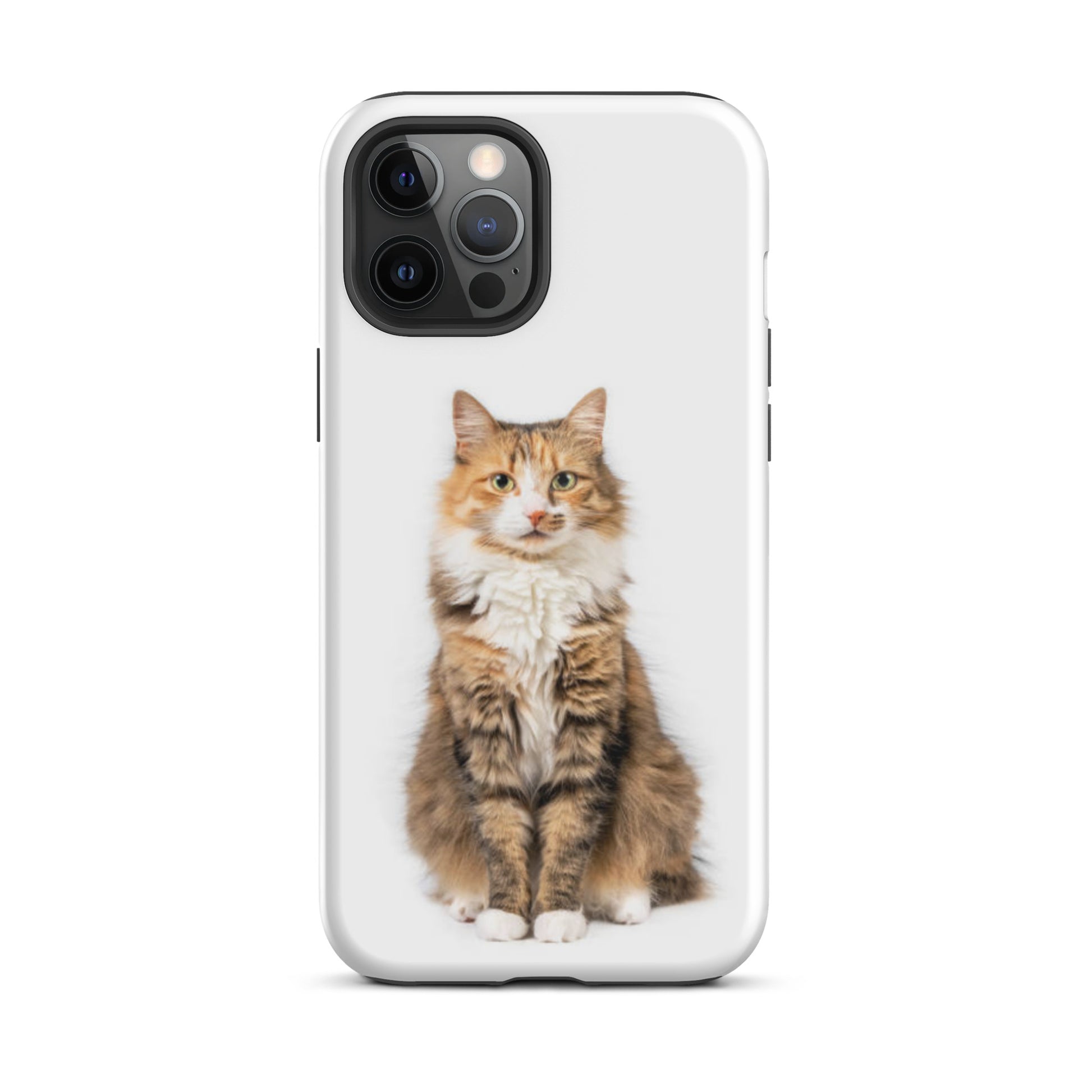 Luxury Tough iPhone Case ''The Cat 1'' -- High Quality --