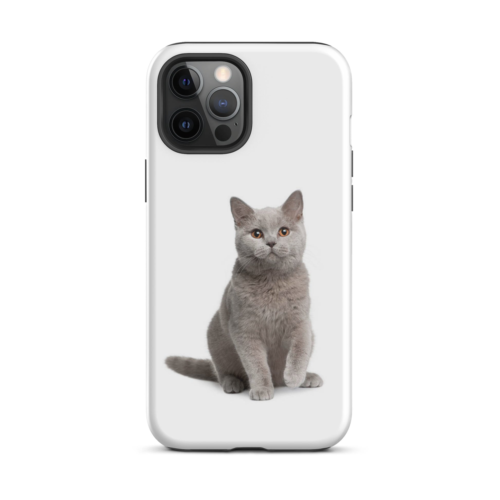 Luxury Tough IPhone Case ''The Cat 2'' -- High Quality --
