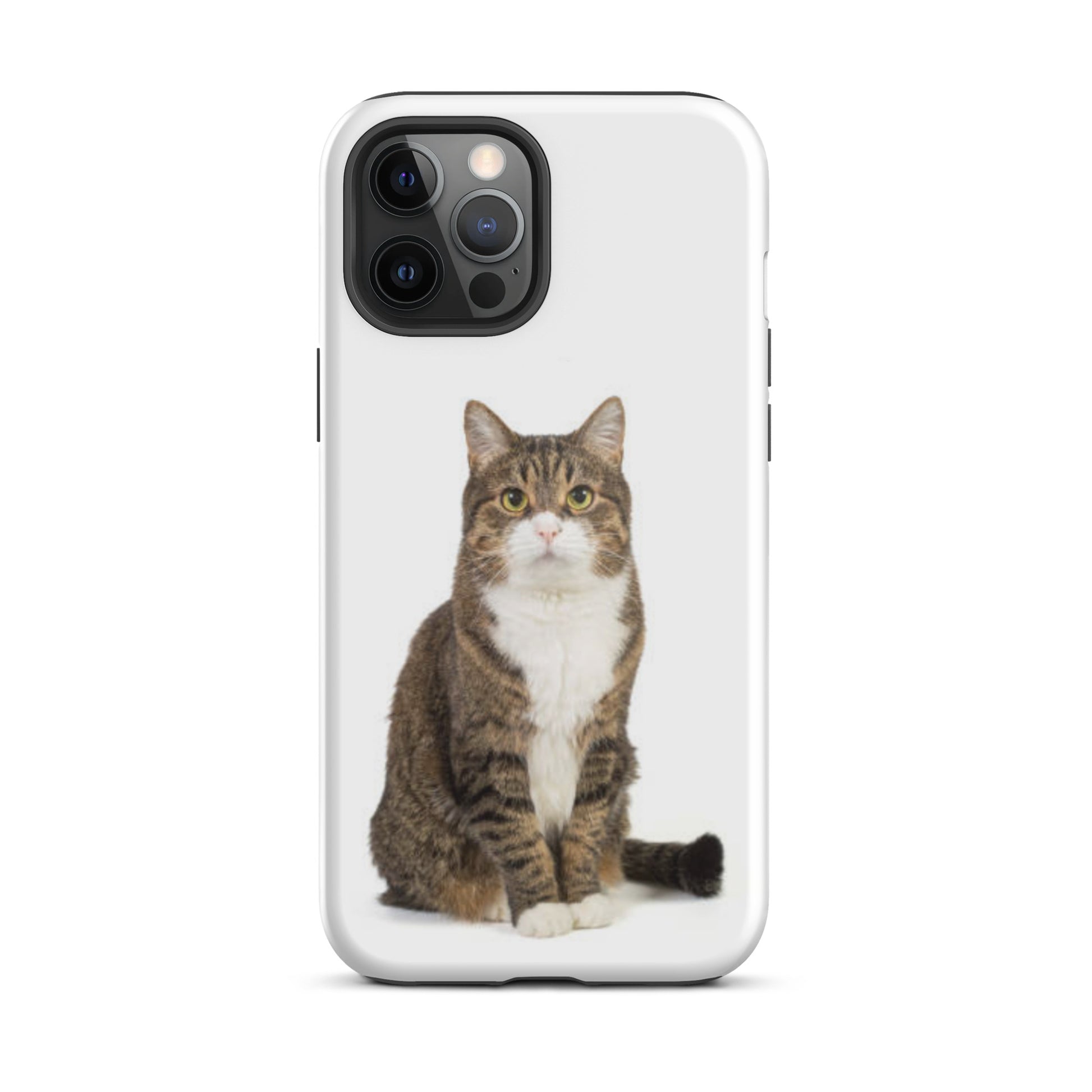 Luxury Tough IPhone Case ''The Cat 4'' -- High Quality --