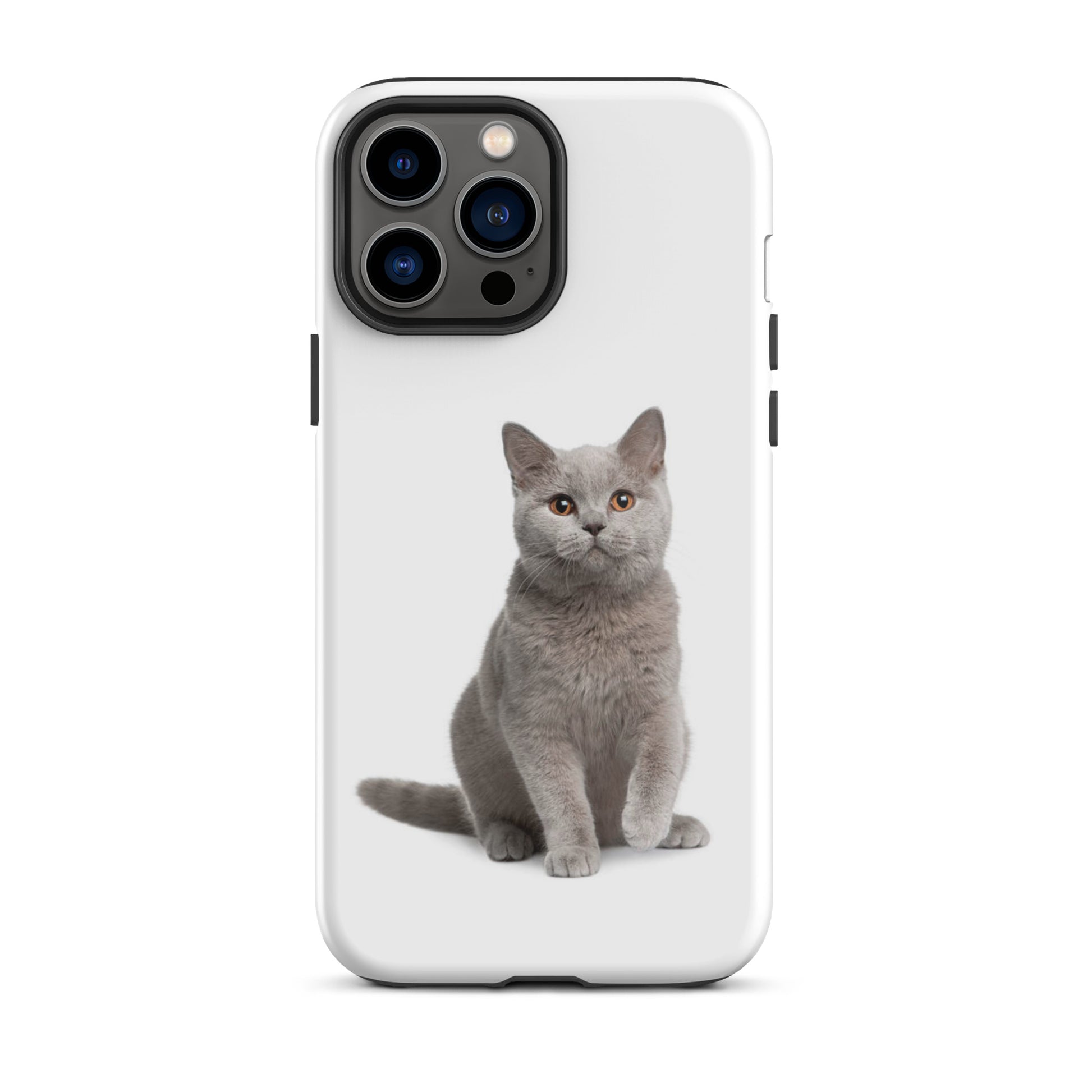 Luxury Tough IPhone Case ''The Cat 2'' -- High Quality --