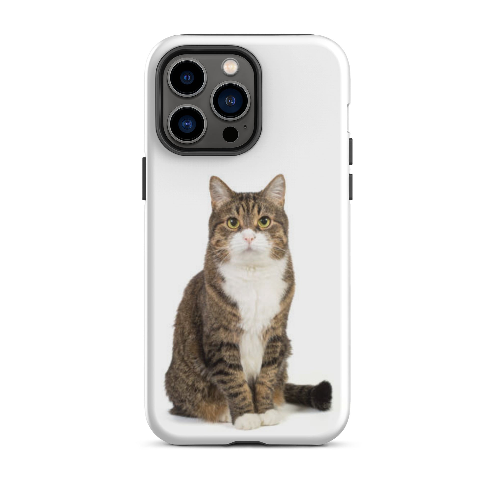 Luxury Tough IPhone Case ''The Cat 4'' -- High Quality --