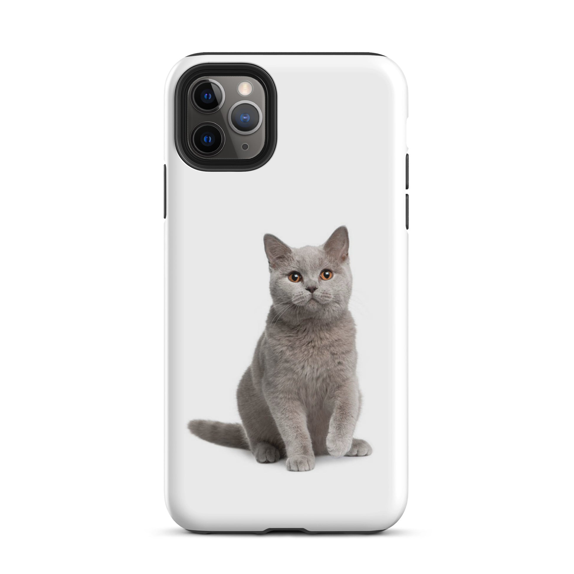 Luxury Tough IPhone Case ''The Cat 2'' -- High Quality --