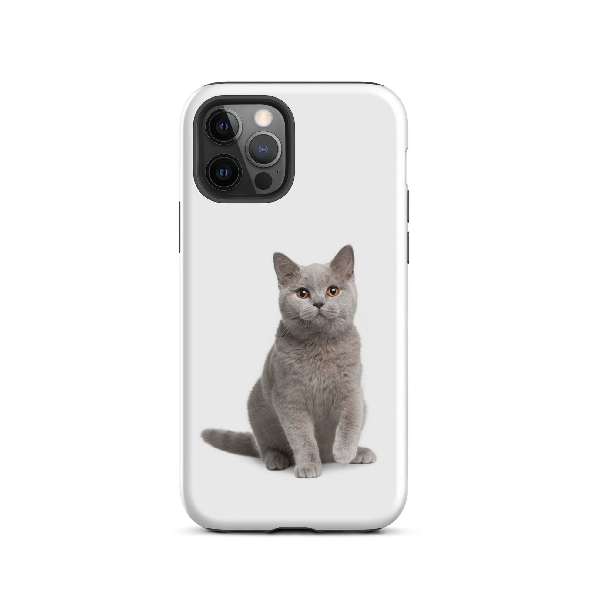 Luxury Tough IPhone Case ''The Cat 2'' -- High Quality --