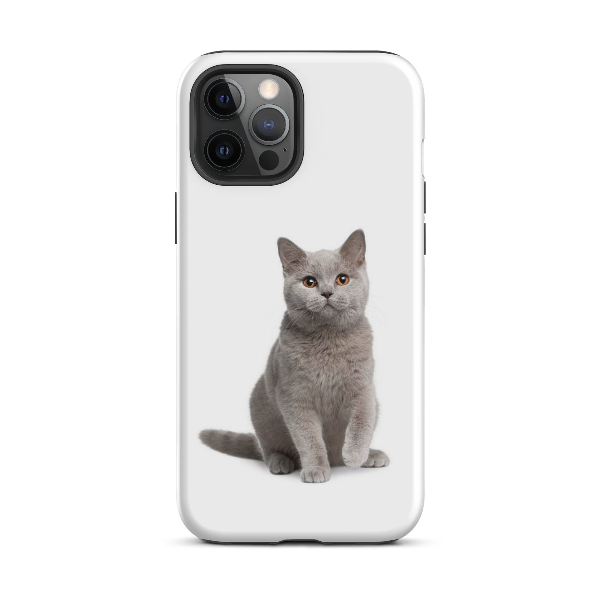 Luxury Tough IPhone Case ''The Cat 2'' -- High Quality --